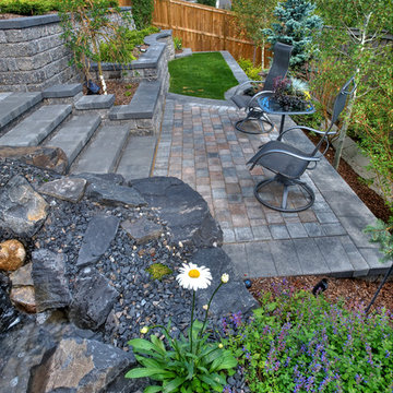 Small Yard Big Dreams