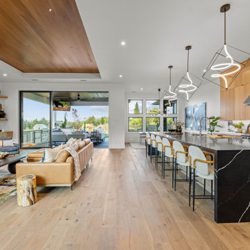 Vivid Best of Show Parade of Homes Winner 2023