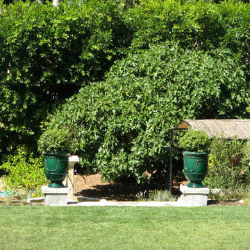 Drought-tolerant Mediterranean
