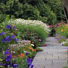 Garden Allison Favorites