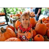 Stephanie Parisi's photo