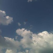 Tonya Clark's photo