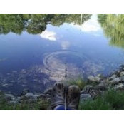 Foto von Donna Hibner
