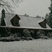 Dineen Allen's photo