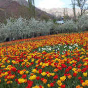 Zahra Mohammadi's photo