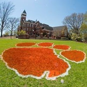 Lisa O'Hanlon's photo