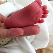 Zeina Goitia's photo