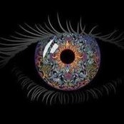 Hayet Bettaieb's photo