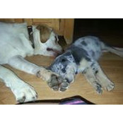 Alison Armitage Wiley's photo