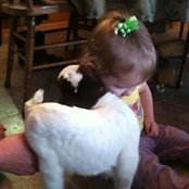 Ronda Zander's photo