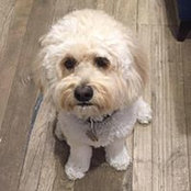 Melissa Erlich Horlick's photo