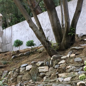 Sculptural Canyon Garden with Low Water Succulents