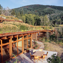 living roof