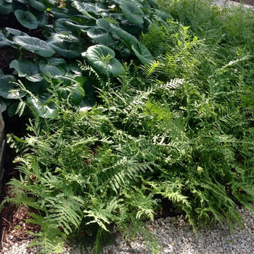 Modern Landscape