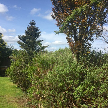 Village Garden
