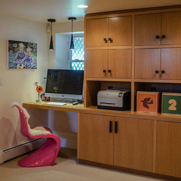 Contemporary Basement Renovation