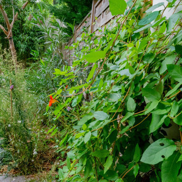 Petit jardin urbain, "un jardin à vivre"