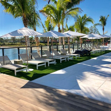 Artificial Grass