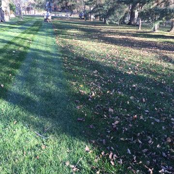 Lawn Care Services - Mowing Services - Lawn Care | Wichita, Kansas