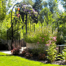 Backyard landscape