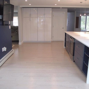 Modern Sleek Kitchen