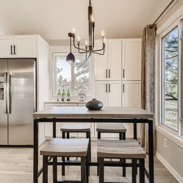 Denver Area Kitchen Renovation