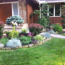 Patio Ideas