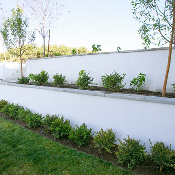 Retaining Wall With Shrubs