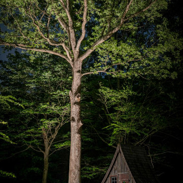 Loudoun County Landscape Lighting