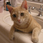 Karen Friedman's photo