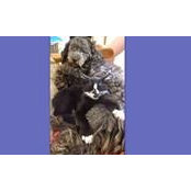 Cyn Perso's photo