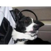 Kathy Alig's photo