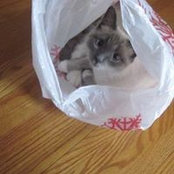 Joni Custance's photo