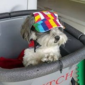 Foto de Nancy Bogard

