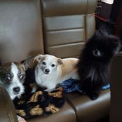 Joane Traber's photo