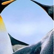Edgar Reiter's photo