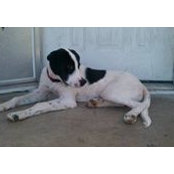 Peter Navran's photo
