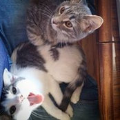 Sarah Finkel's photo