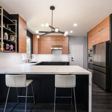 2024 - Modern Kitchen in Campbell