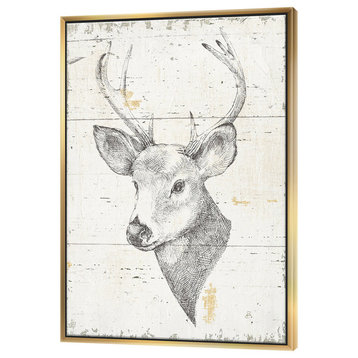 Designart Deer Wild Beautiful Ii Wildlife Animal Print Canvas Art, Gold, 30x40