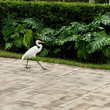 Preserve Residence in West Palm Beach