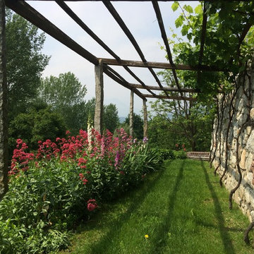 VIGNE E FIORI