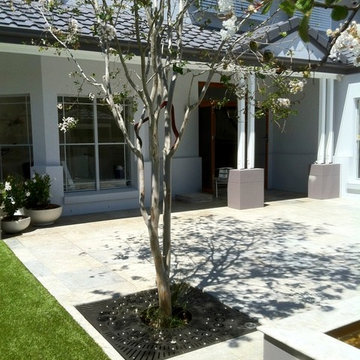 Orbit Tree Grate with Light Port at a Private Residence