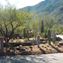 Landscape Ideas