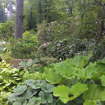 2015 Garden Dialogues: Ossining, M. Bakwin Estate, June 20