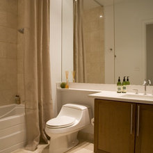 Guest bath shower curtains, paint and color schemes