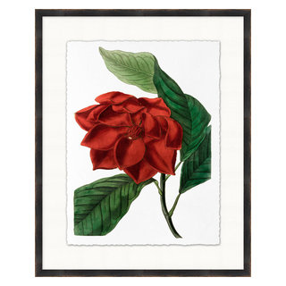 絵画 Ruby-red Flowers Red Flower 4, Giclee Reproduction Artwork, 25.25x31.25