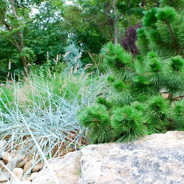 Textural backyard garden.