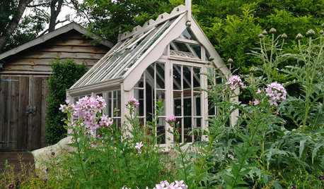 Ask a Garden Designer: What to Do in the Garden in September