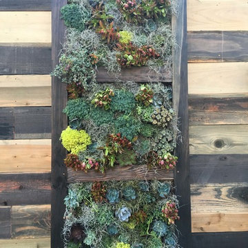 Del Mar Fairgrounds 2016 Exhibit - Garden of Wonder First Place